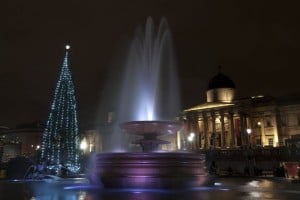 traflagar_001 The Trafalgar Square Christmas tree is decorated with 500 white lights.