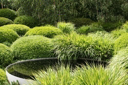 Chelsea Flower Show Garden Visit