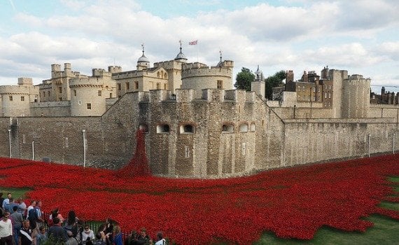 A Dramatic Field of Poppies at the Tower of London