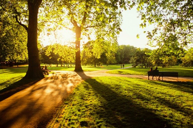 Bask in the beauty of June sunshine in London's Green Park