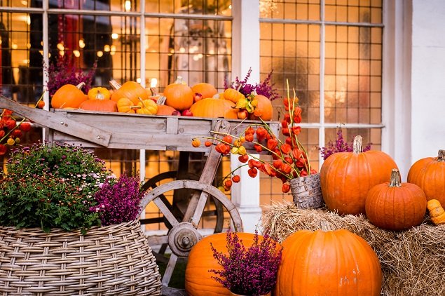 Carve Pumpkins in Style at the Bluebird In Chelsea