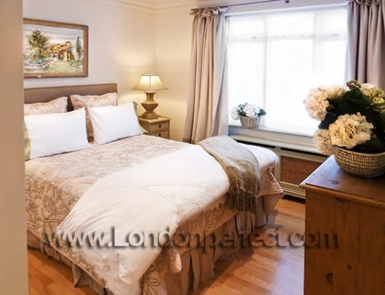Welcoming master bedroom with queen bed