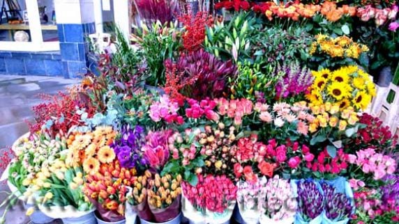 Flowers On Road