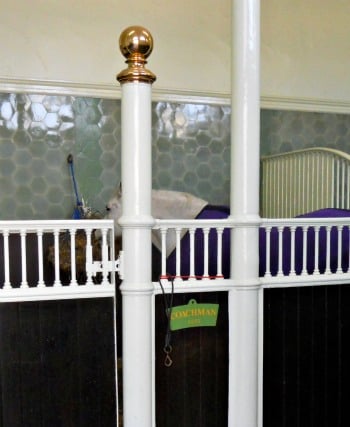 London Perfect Vacation Rentals Royal Mews Buckingham Palace Stables Horses Royal Mews Buckingham Palace London Horses