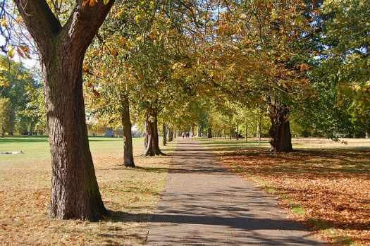 Bonkers for Conkers in Kensington Gardens!