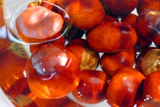 Beautiful Chestnuts from Kensington Gardens in London