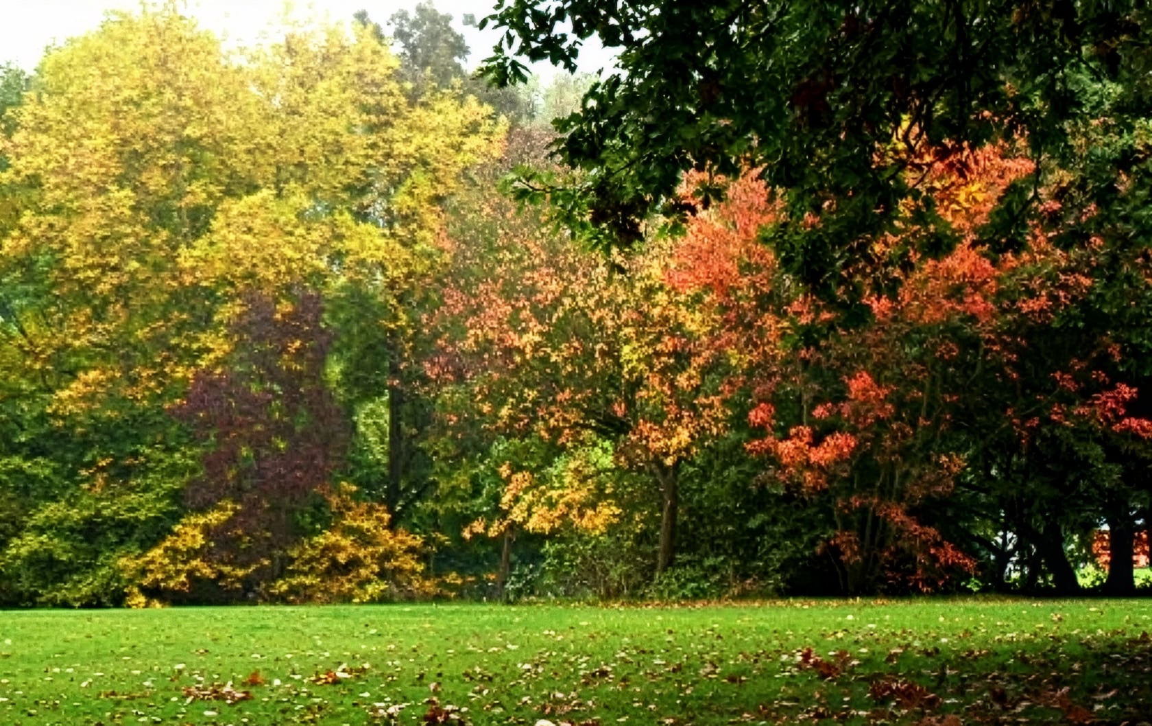 Autumn colours in North London's Alexandra Park