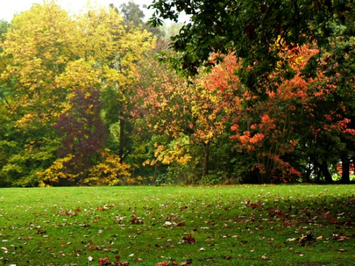 Autumn at Alexandra Park in London