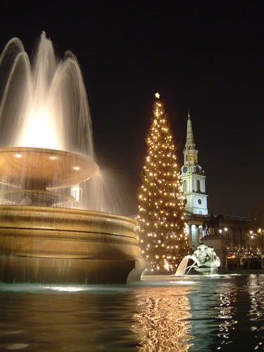 Christmas Tree in Trafalgar Square Christmas in London Trafalgar Square Events