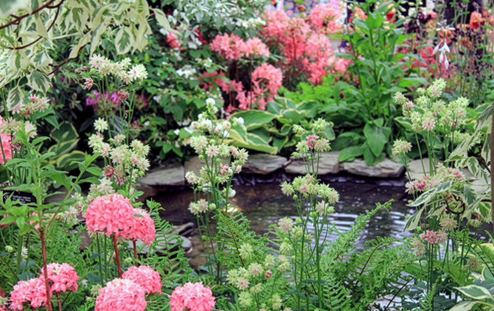 Tickets are now on sale for the Chelsea Flower Show in May 2013!
