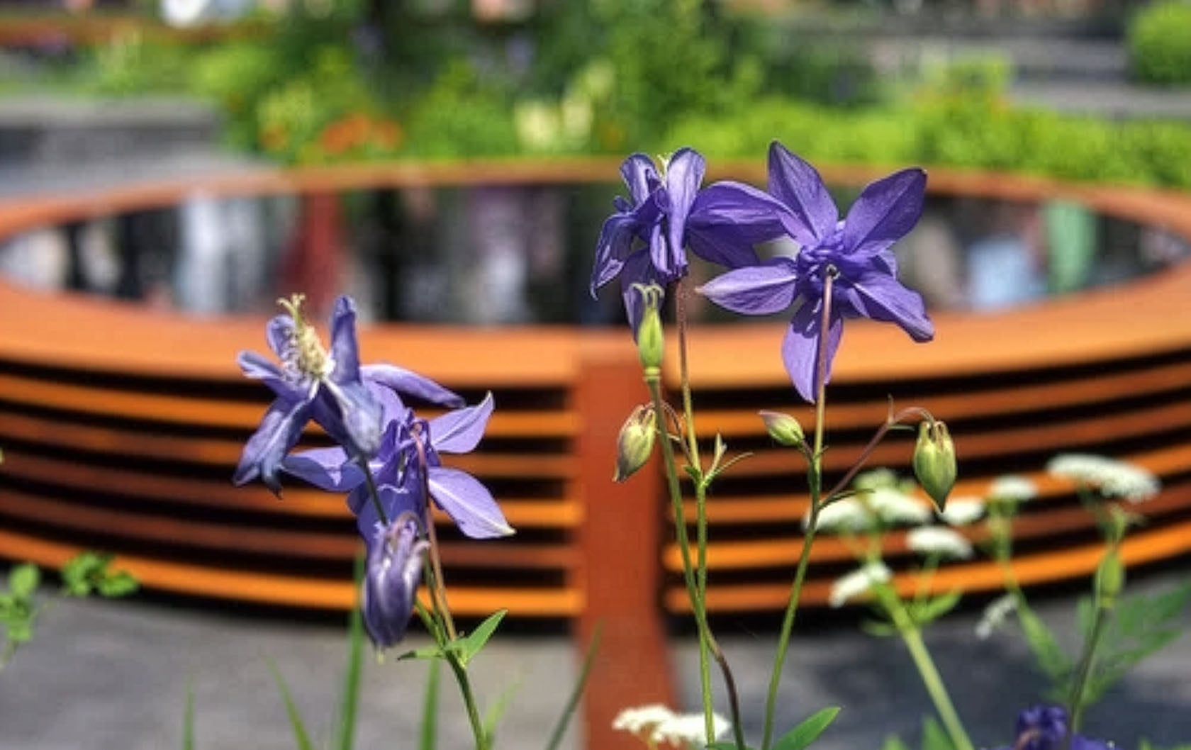 The Chelsea Flower Show 2013 is about to begin!