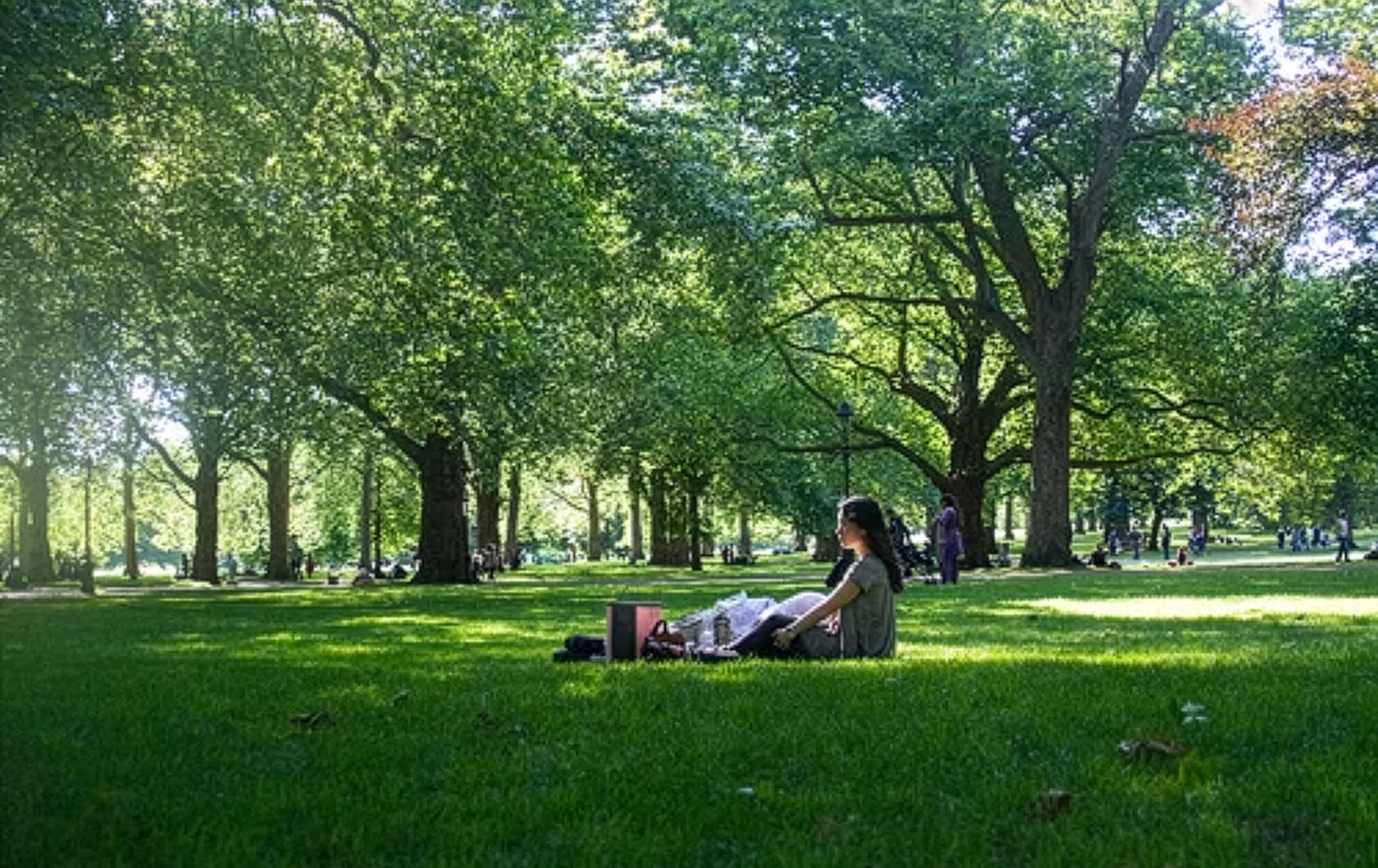 An August picnic in London's Green Park