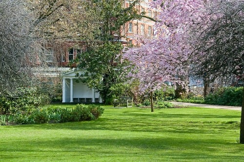 London’s Open Garden Squares Weekend 2013