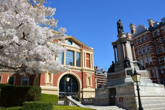 Spring Blossoms in London