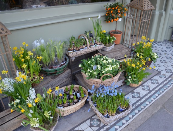 Spring Flower Shop in Kensington London