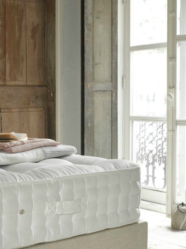 Charlie Marshall Loaf - Top Dog mattress
