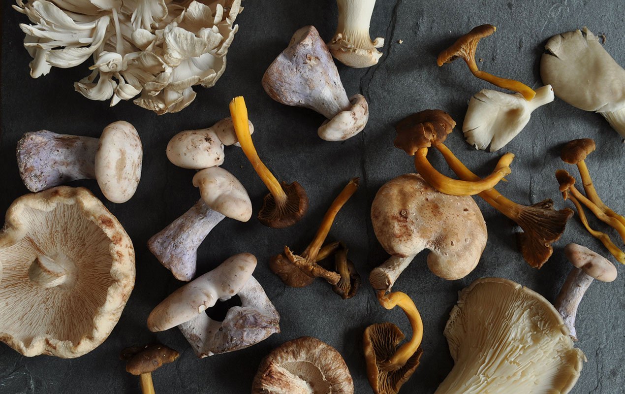 wild-mushroom-risotto-ingredient-shot