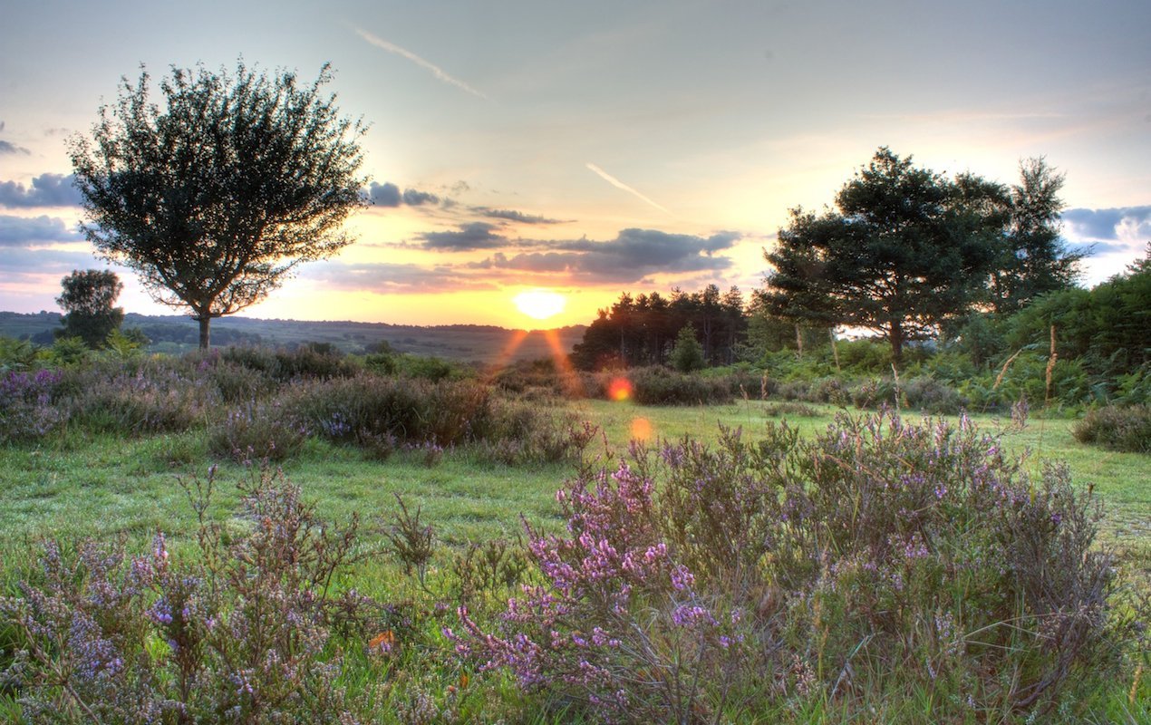 Day Trips to Discover the English Countryside