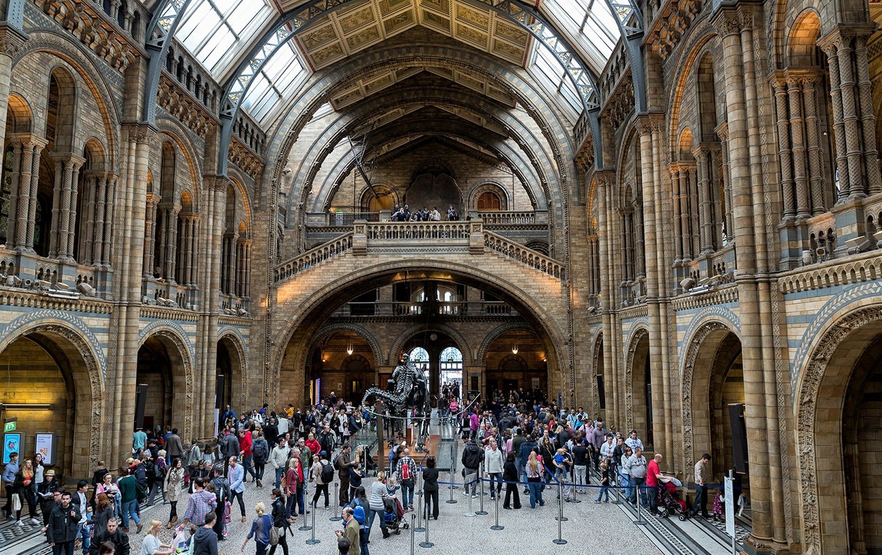 Top 3 Museums For Families In London