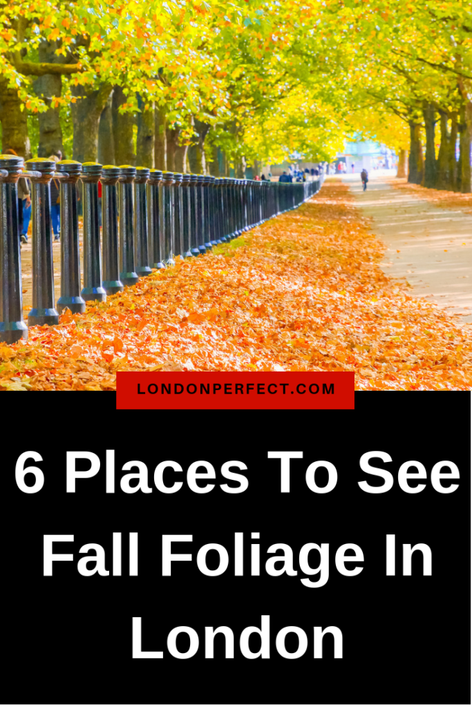 6 Places To See Fall Foliage In London by London Perfect