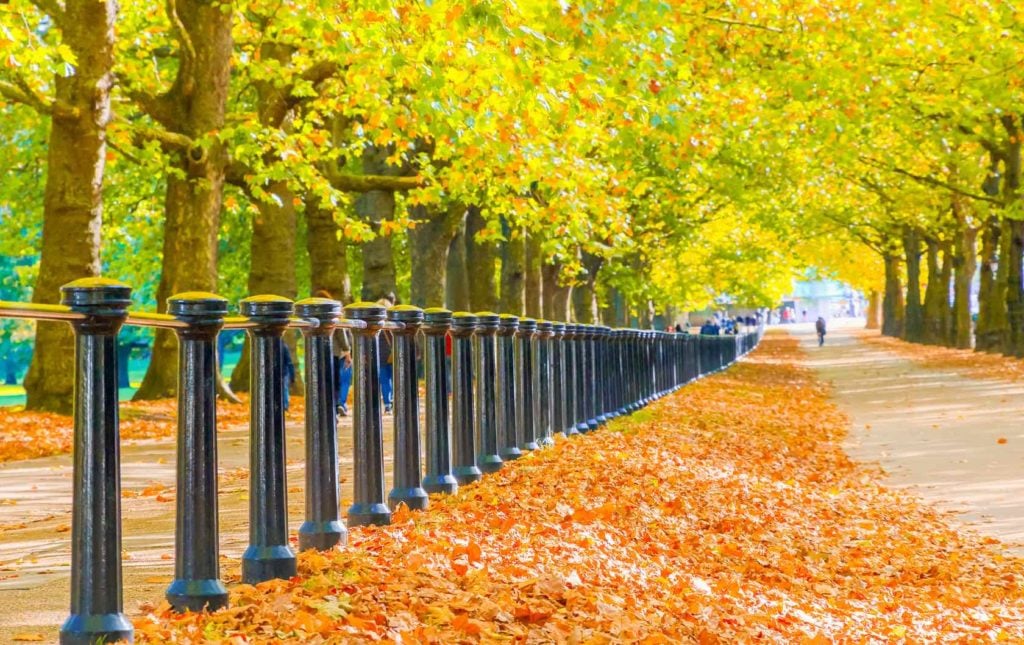 Fall Foliage In London: 6 Places you Must See on your Autumn Trip