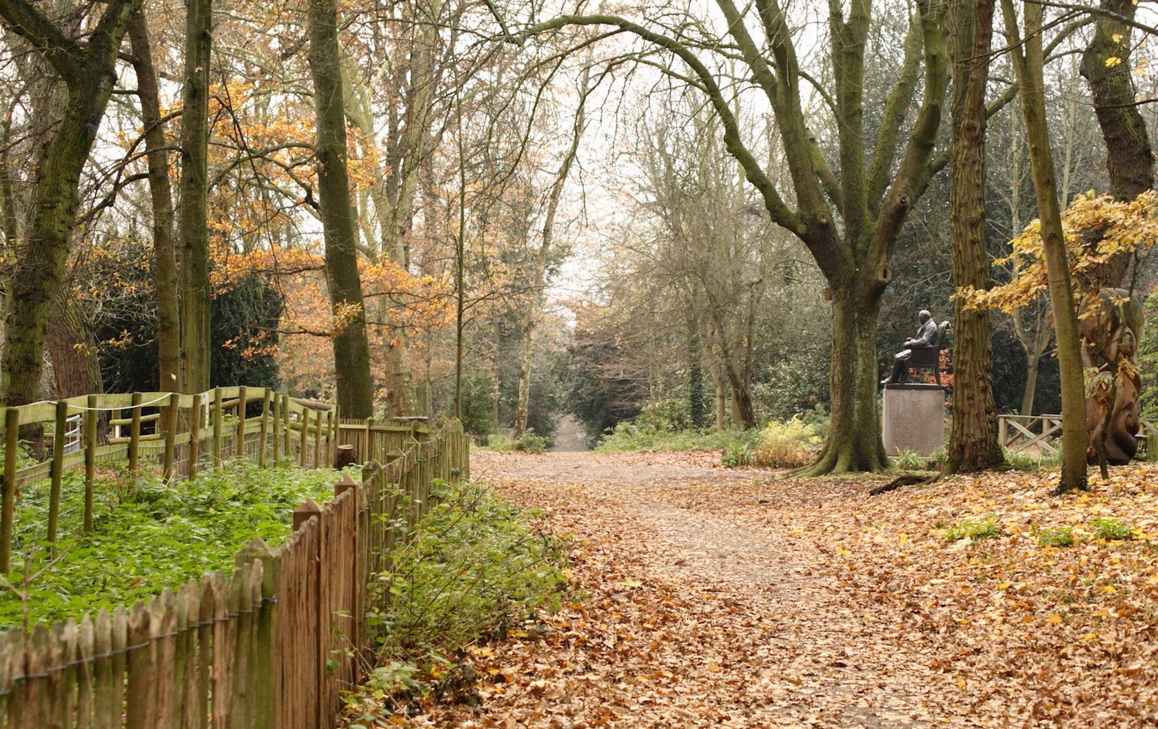 fall foliage in London by London Perfect