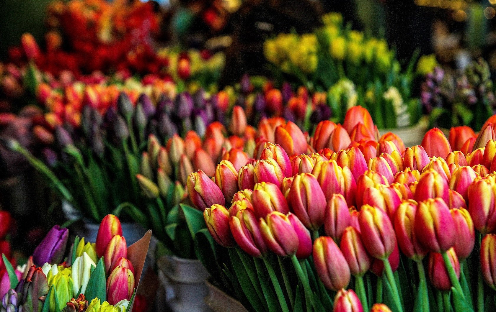 romantic places in London by London Perfect