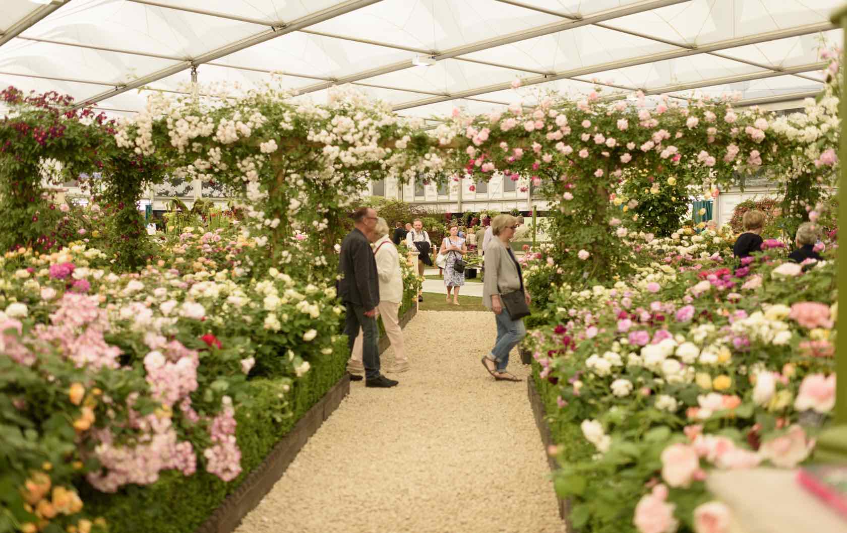 Where See London’s Spring Flowers by London Perfect Chelsea Flower Show
