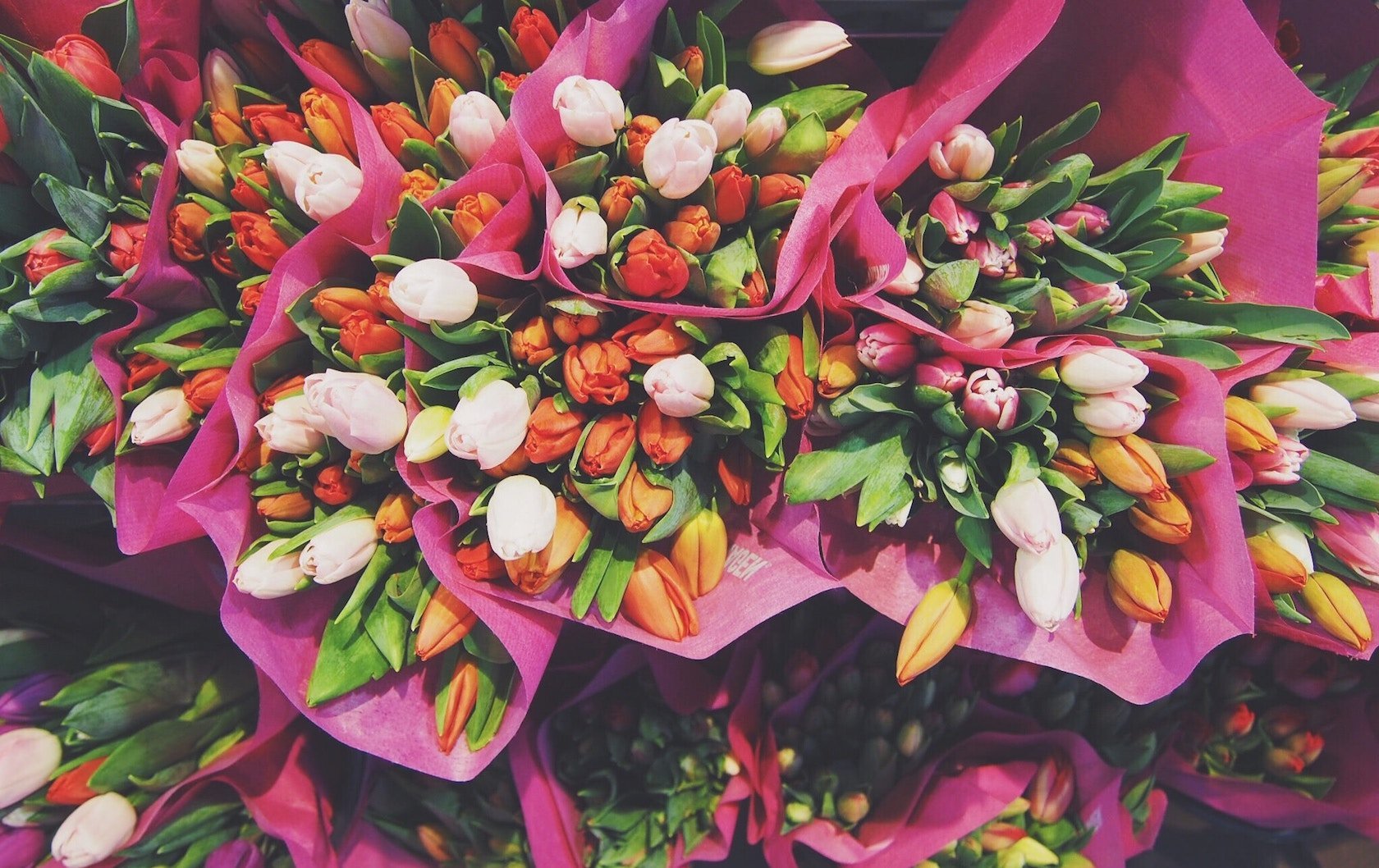 London’s Spring Flowers by London Perfect