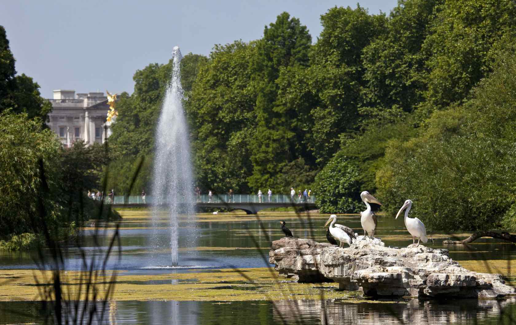 Wild London: Where To Find Wildlife In London