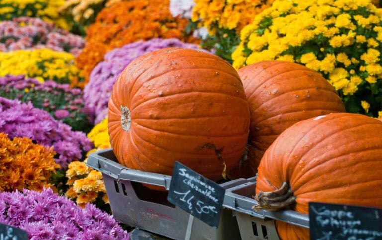 Here�s How To Celebrate Halloween in London London Perfect