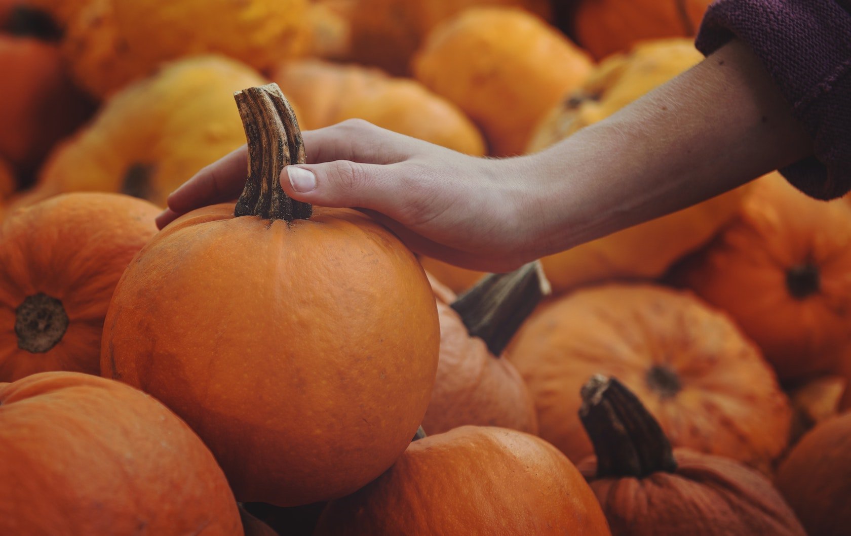 Halloween in London by London Perfect