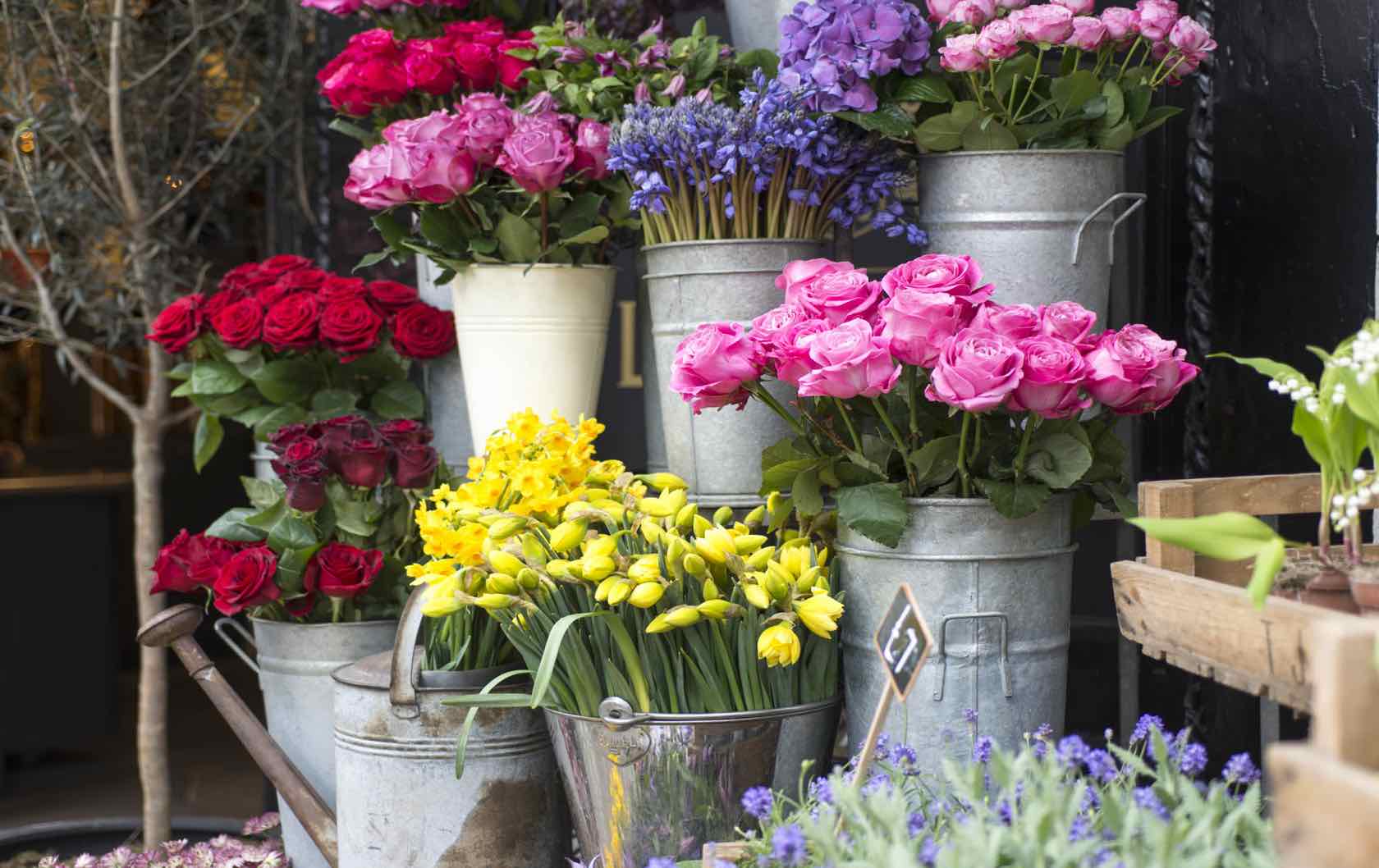 4 of the Most Photogenic Flower Shops in London