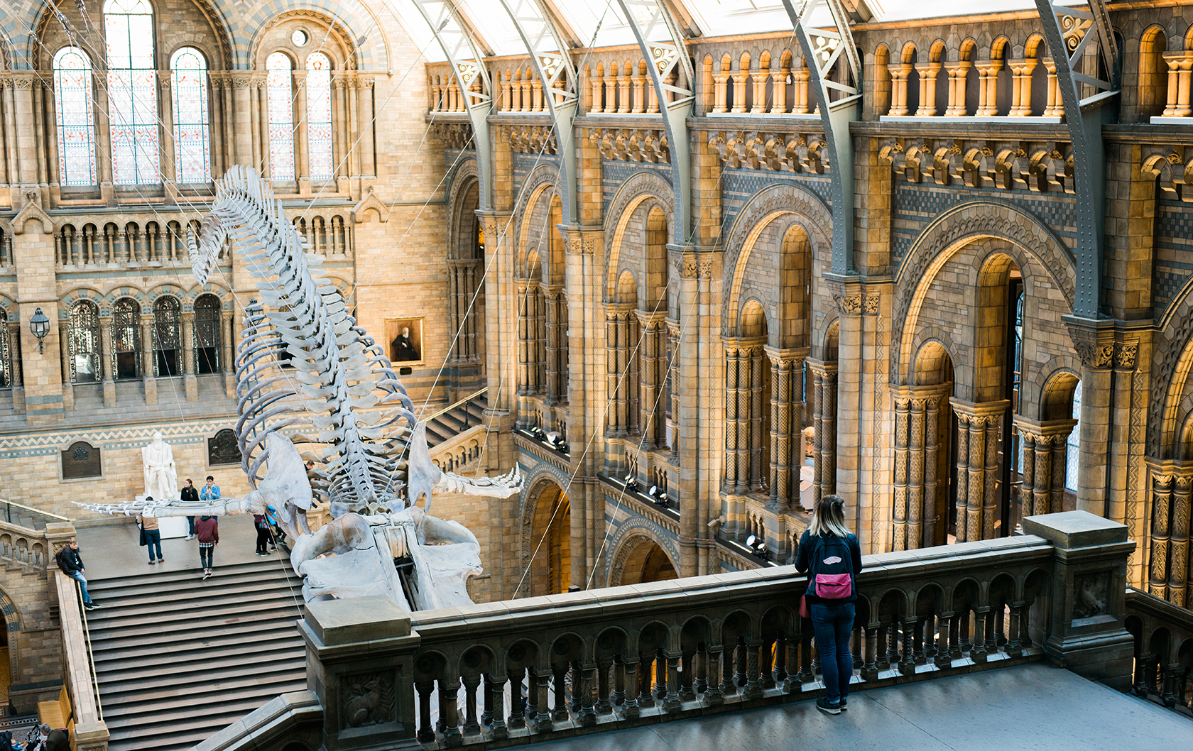 The incredible atrium of the Natural History Museum