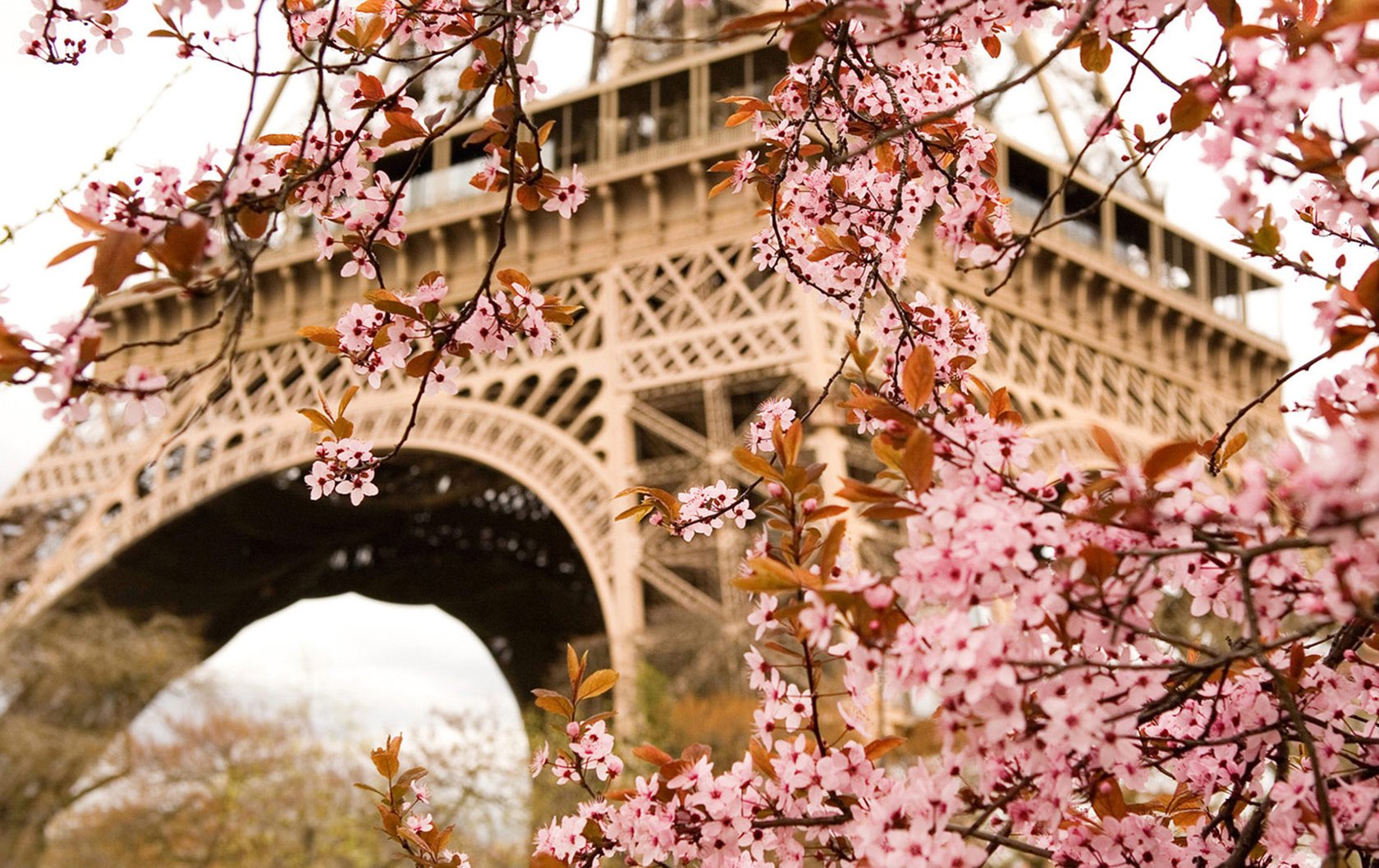 Paris free night sale