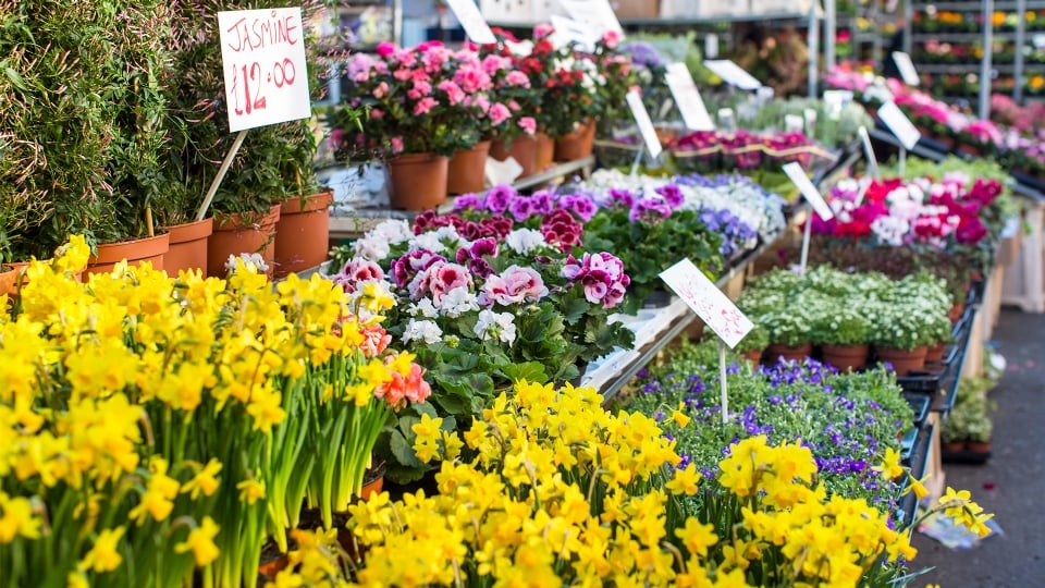 London Markets