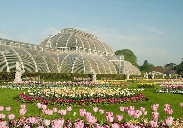 Kew Gardens & Kew Palace