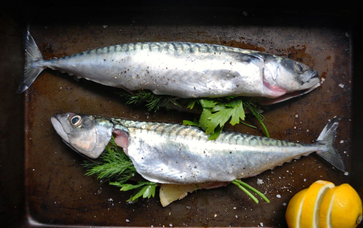 Mackerel ingredient shot