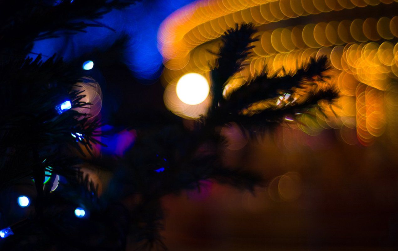 \"christmas-night-lights\"