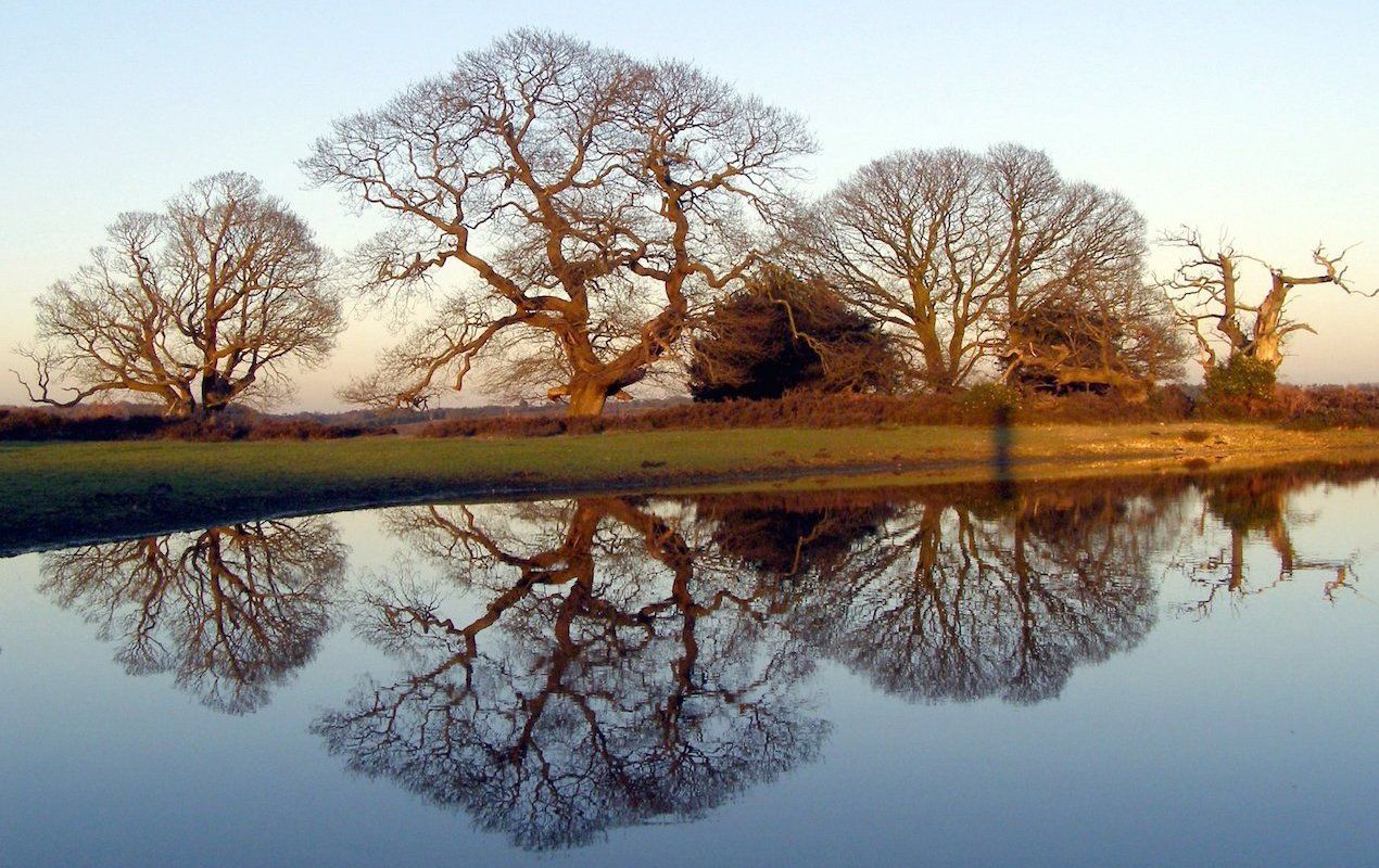 day trips to the English countryside