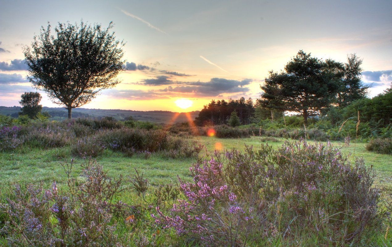 day trips to the English countryside