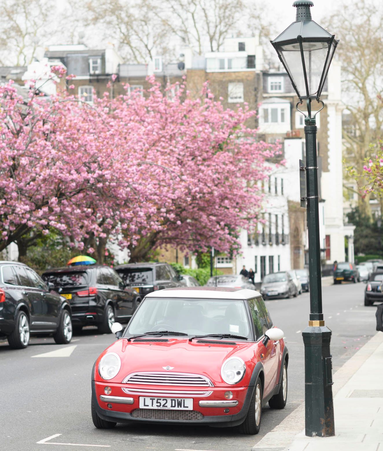 Spring flowers in London