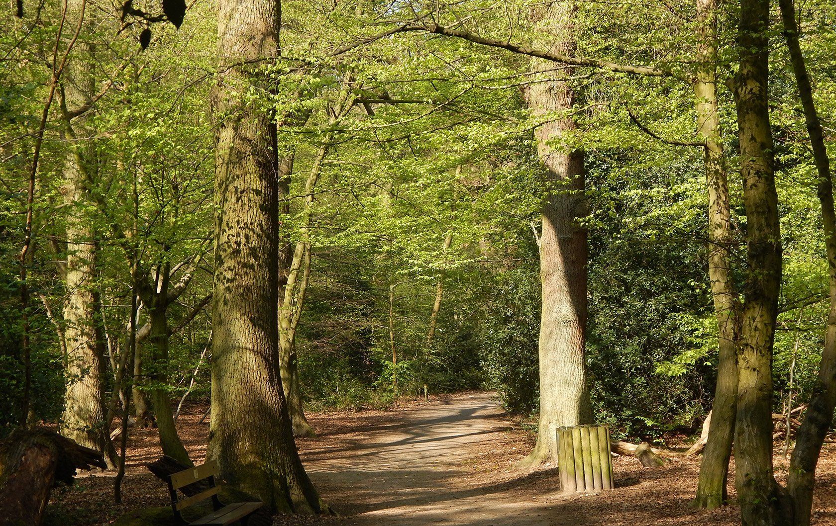 guide to Highgate London parks