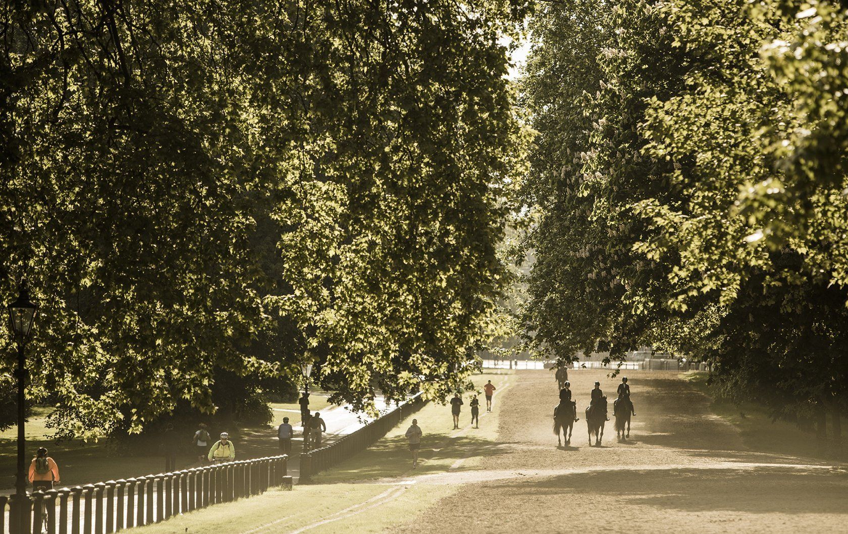 Hyde Park Horseback Riding London