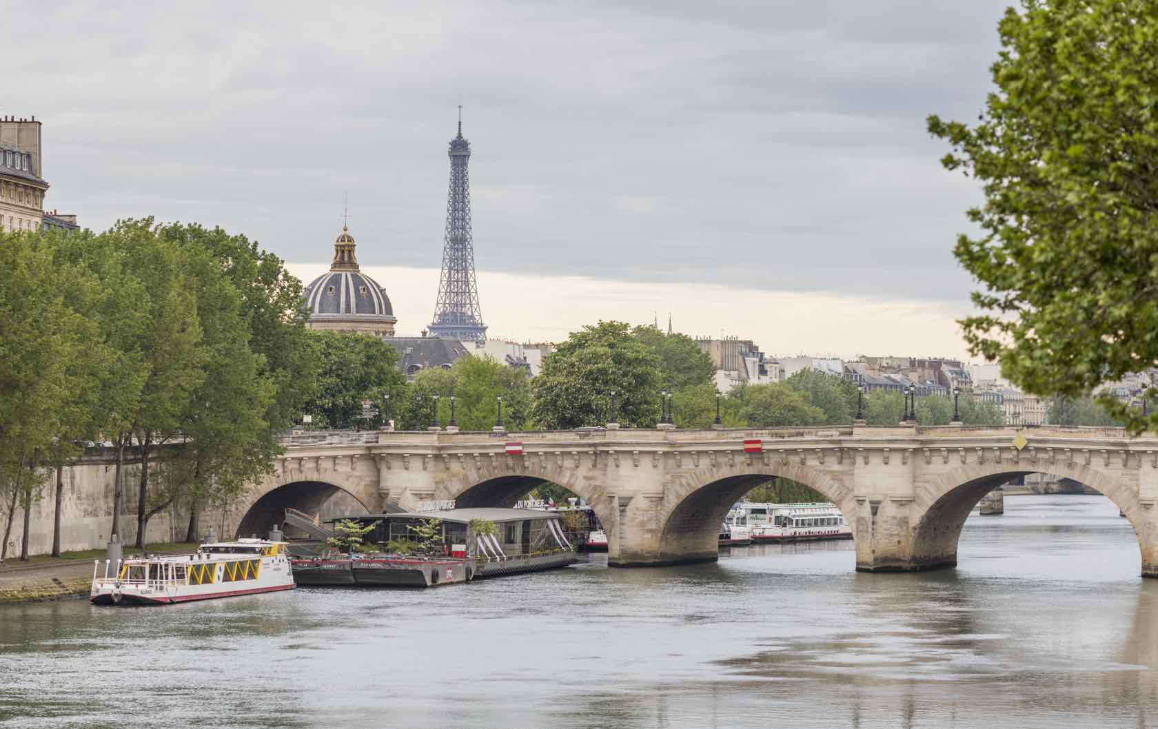 Seine River with Eiffel Tower in Summer