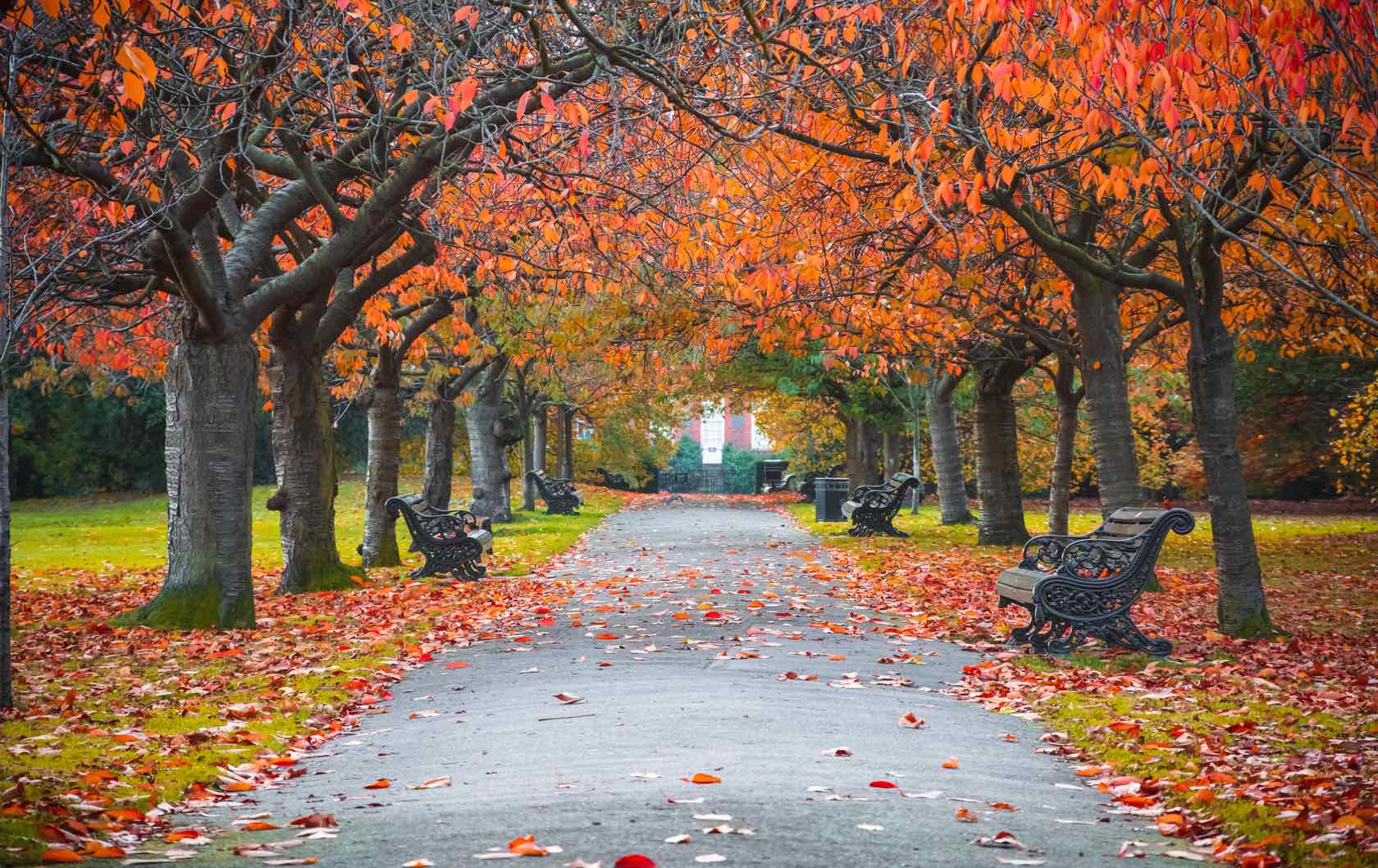 London park autumn