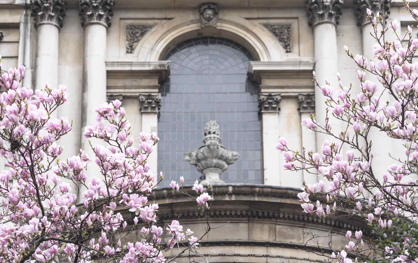 London in springtime flowers
