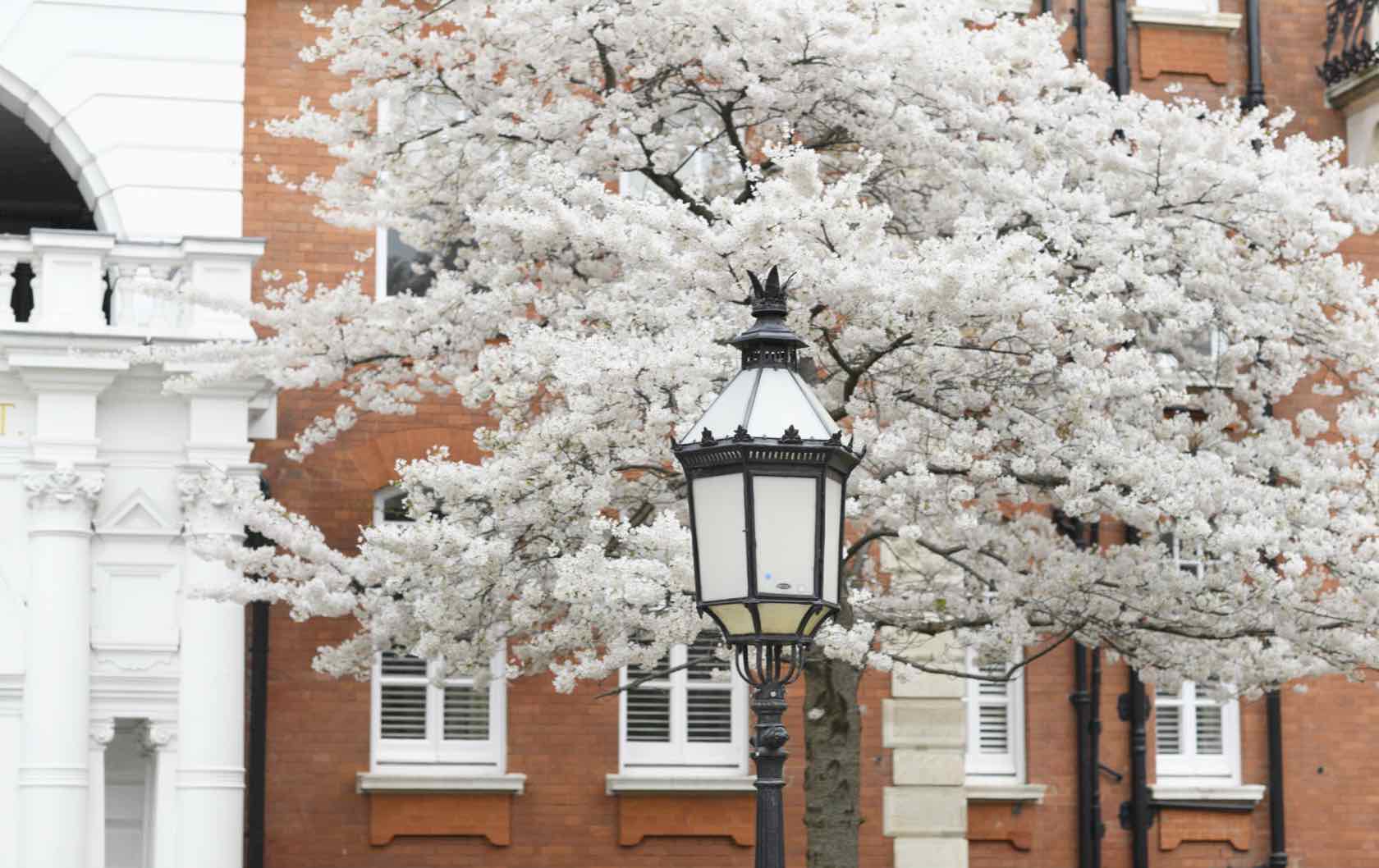 London in Springtime 