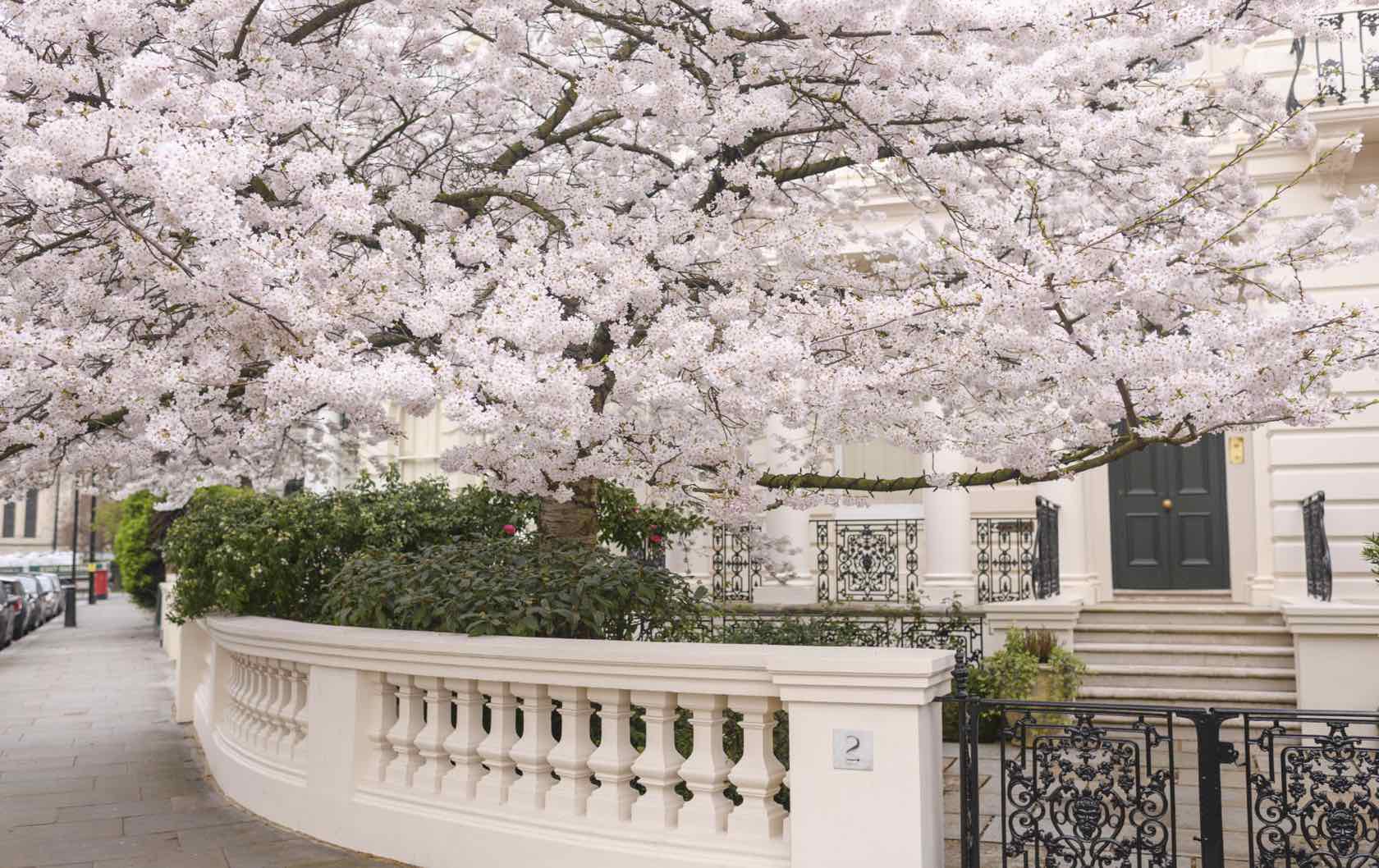 Spring in Notting Hill London