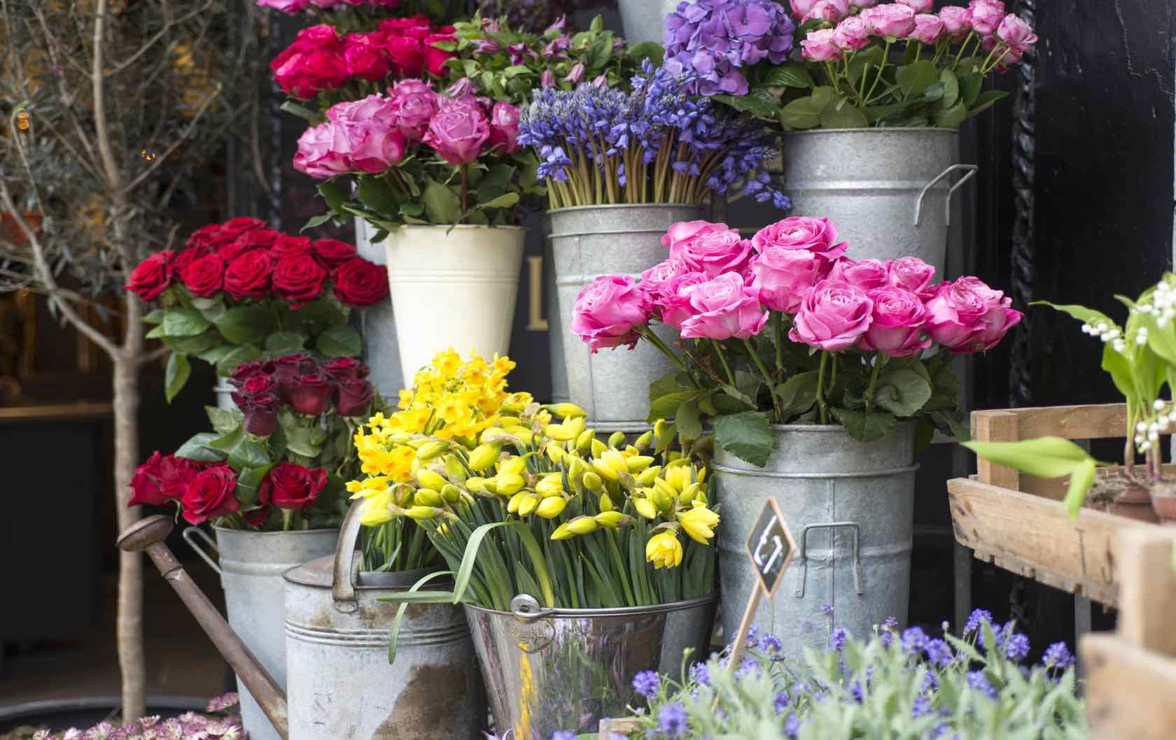 London flower shop